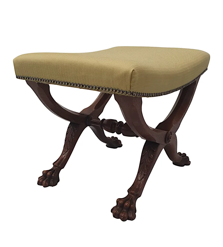 An Exceptional and Rare 19th Century Irish X Framed Stool