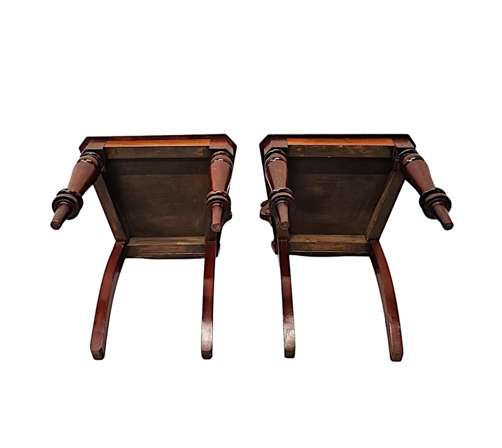 A Very Fine Pair of 19th Century Mahogany Hall Chairs