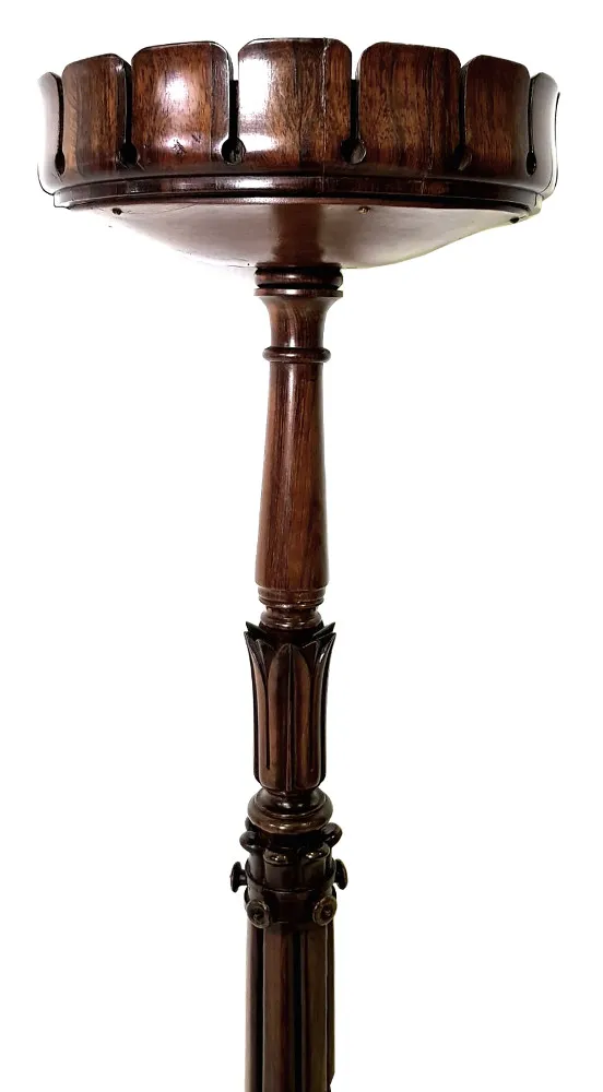 Very Rare William IV Rosewood Hall Planter in the manner of Irish Furniture Makers 'Williams & Gibton'