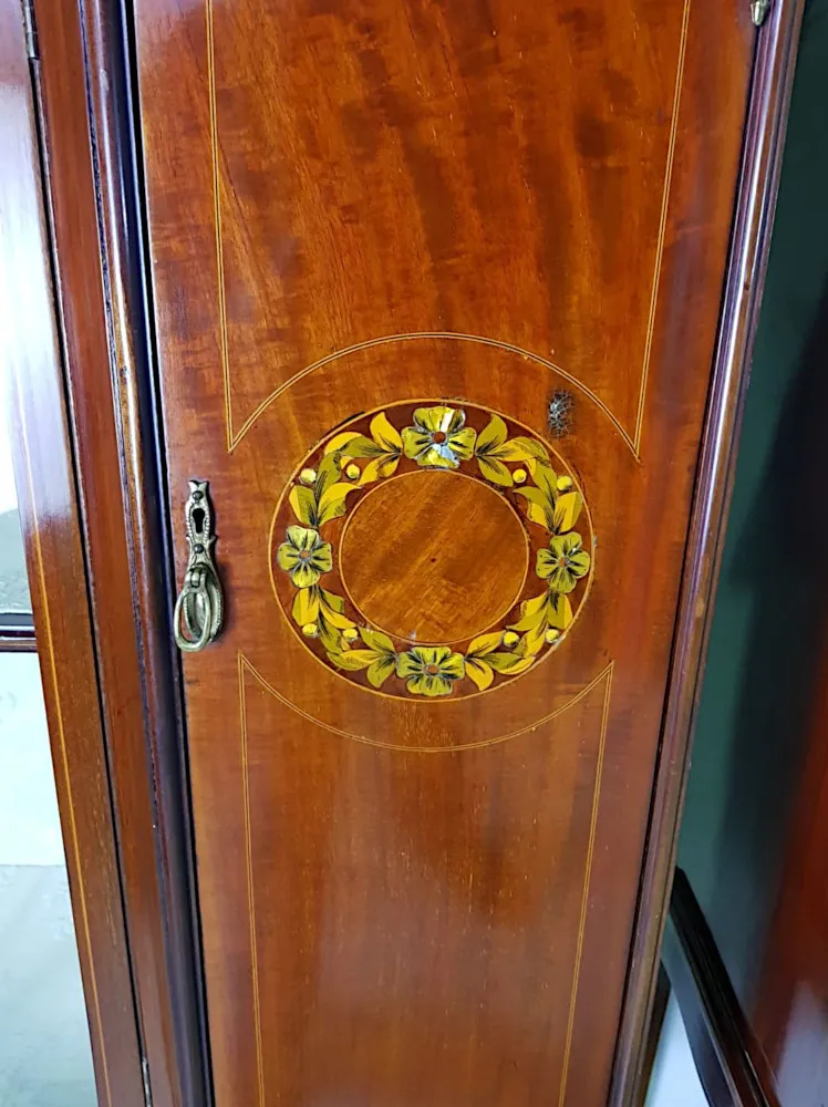 Pair of Edwardian Display Cases
