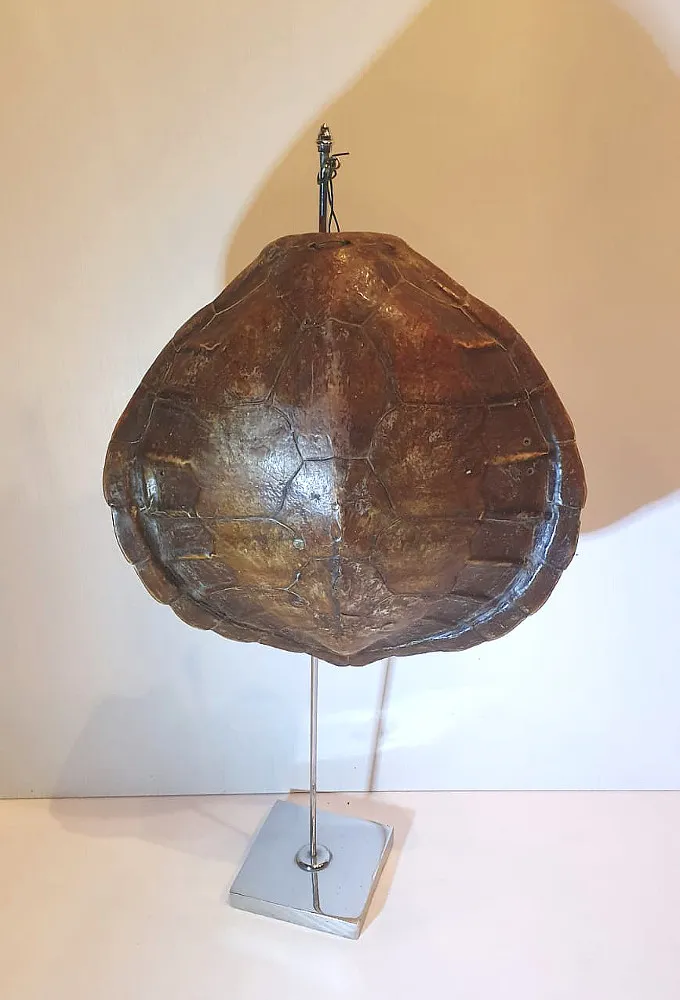 19th Century Tortoise Shell Vintage Chrome Stand