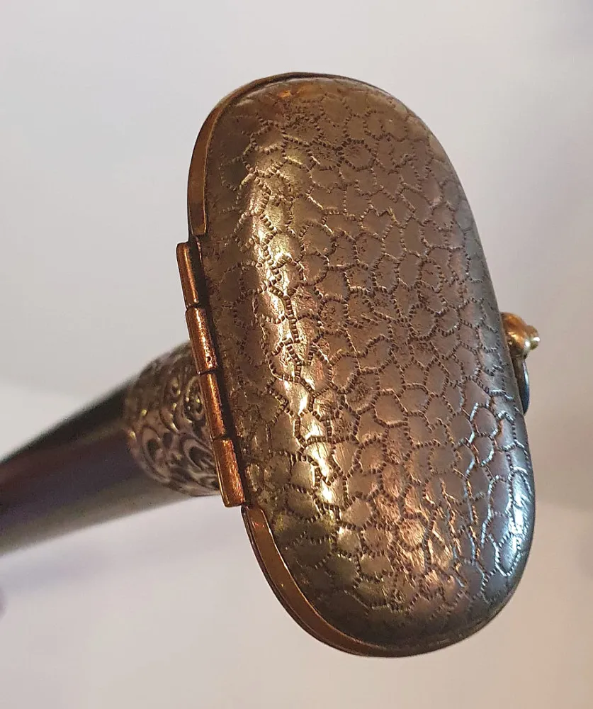19th Century Silver Topped Walking Cane