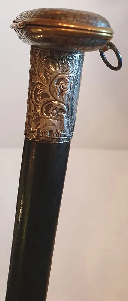 19th Century Silver Topped Walking Cane