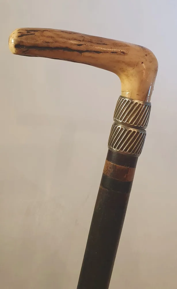 19th Century Horn Handled and Silver Mounted Walking Stick 