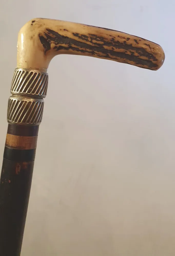 19th Century Horn Handled and Silver Mounted Walking Stick 