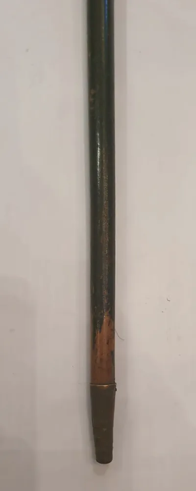 19th Century Horn Handled and Silver Mounted Walking Stick 