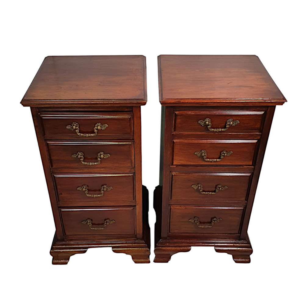  A Gorgeous Pair of 19th Century Bedside Chests