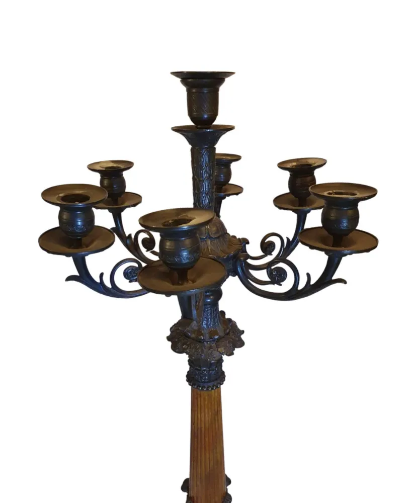 A Rare and Fine Pair of 19th Century Bronze Candelabra in the Empire Style