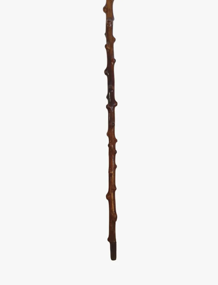 A Lovely Quality 19th Century Walking Stick with a Bull Dog Head Handle 