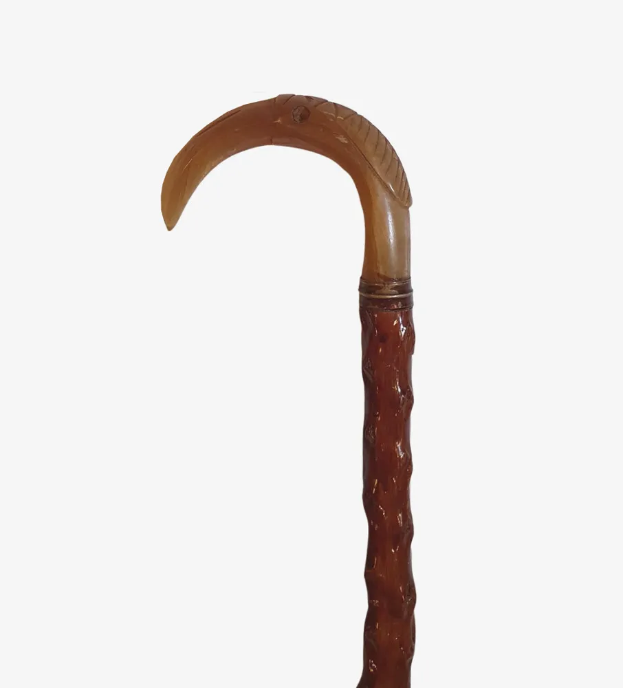 A Lovely and Rare 19th Century Walking Stick with Carved Bird Head Handle