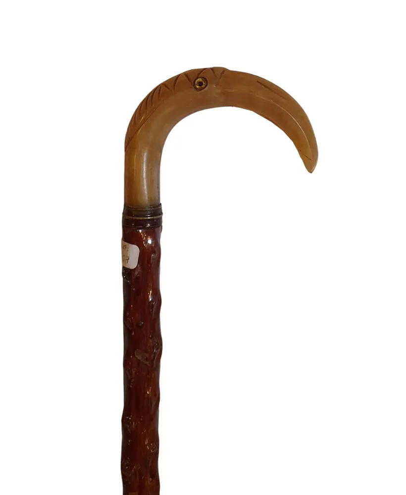 A Lovely and Rare 19th Century Walking Stick with Carved Bird Head Handle