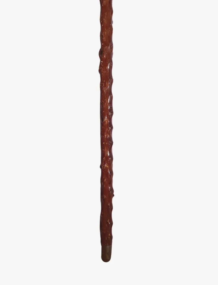 A Lovely and Rare 19th Century Walking Stick with Carved Bird Head Handle