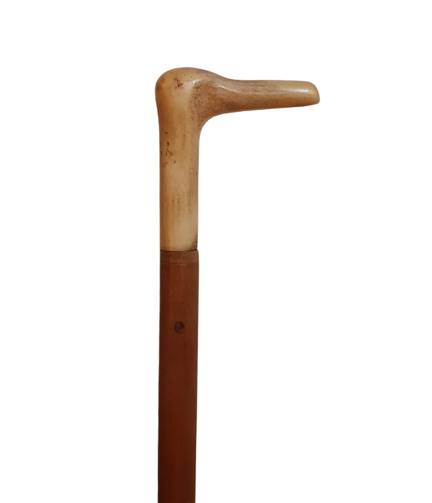 A Superb 19th Century Walking Stick with Bone Handle