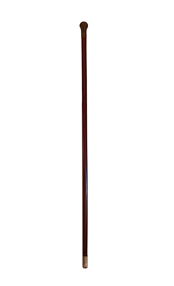 A Superb 19th Century Walking Cane with Brass Handle