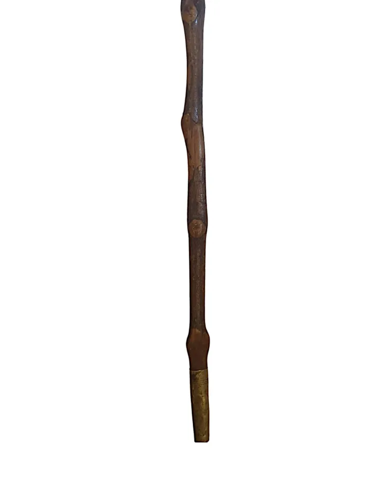 A Very Fine and Unusual 19th Century Walking Stick with an Ivory Handle