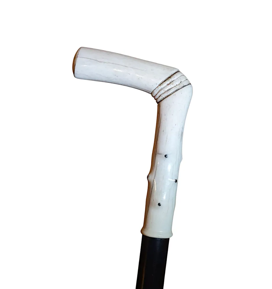 A Superb 19th Century Walking Stick with an Ivory Handle