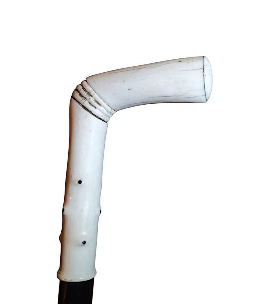 A Superb 19th Century Walking Stick with an Ivory Handle