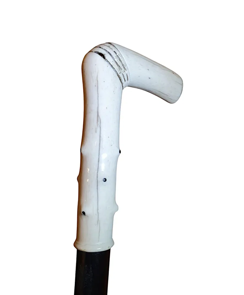 A Superb 19th Century Walking Stick with an Ivory Handle