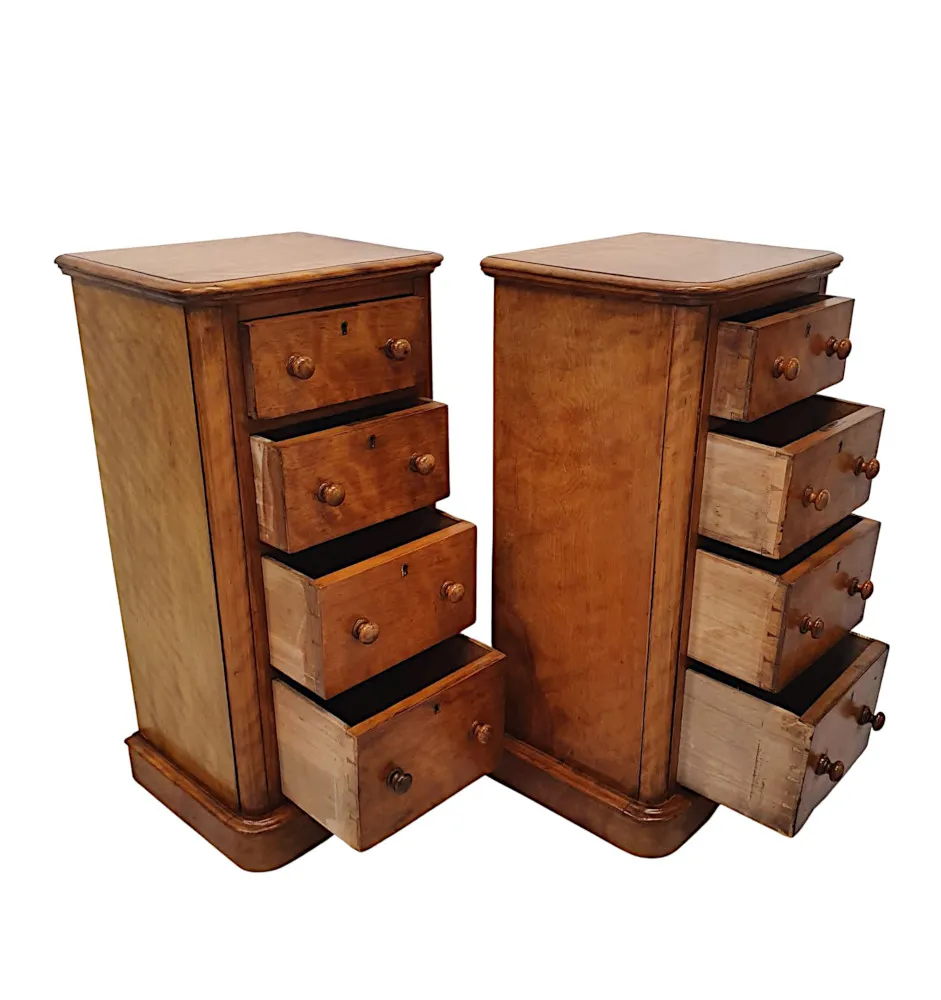 A Gorgeous Pair of 19th Century Bedside Chests