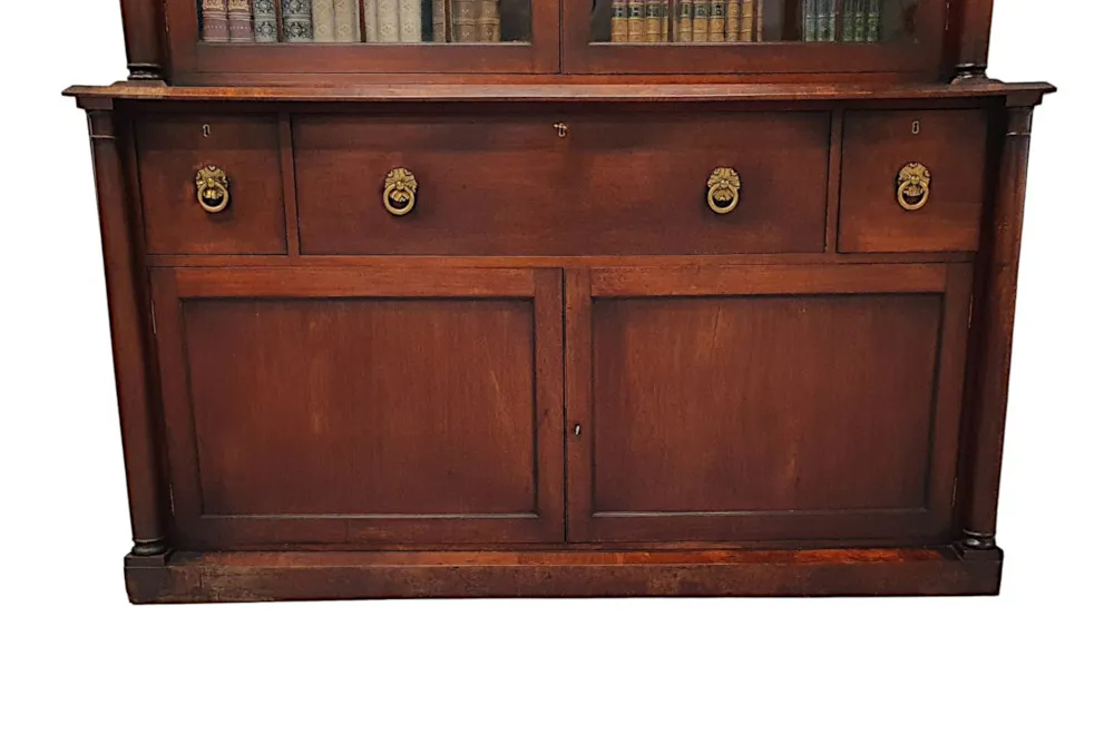 A Rare and Fine Early 19th Century William IV Irish Secretaire Bookcase