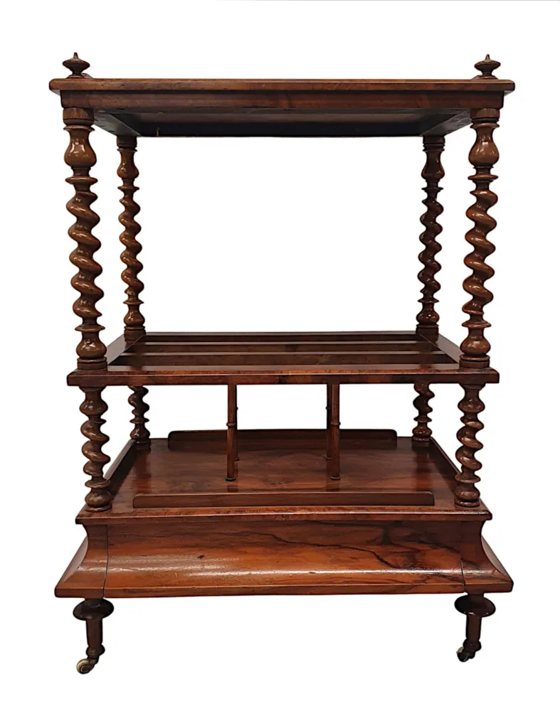 A Gorgeous 19th Century Canterbury or Side Table