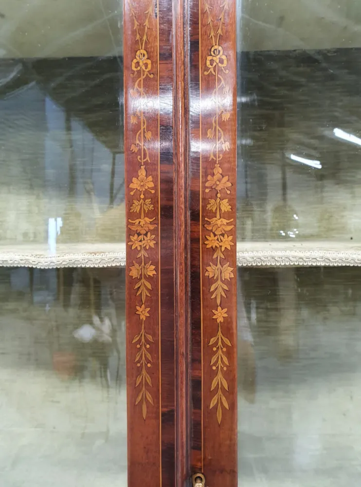  An Exceptional Edwardian Display Case Attributed to Edward and Roberts