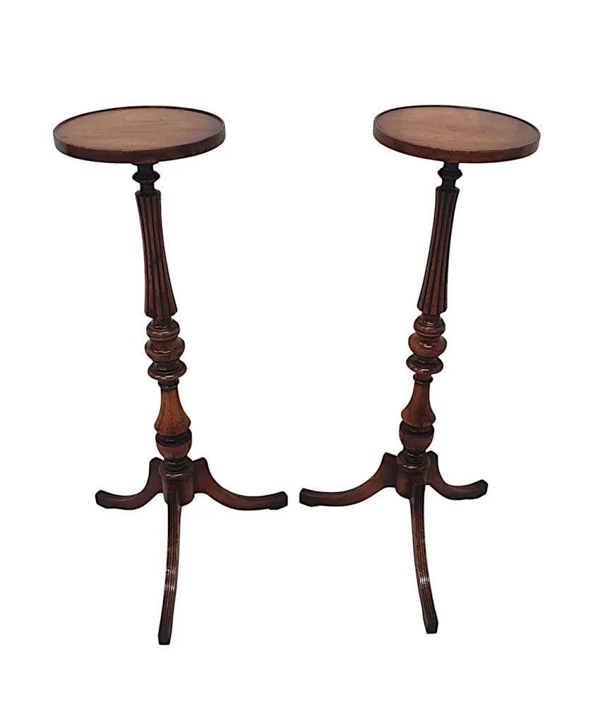 A Gorgeous Pair of 20th Century Plant Stands