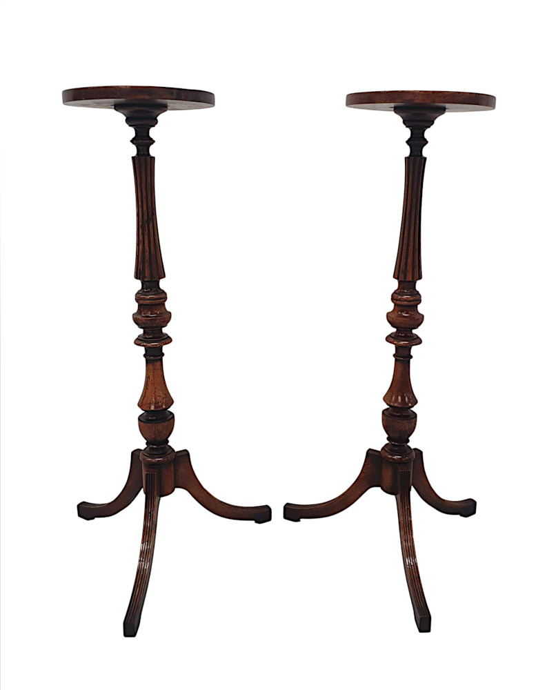 A Gorgeous Pair of 20th Century Plant Stands