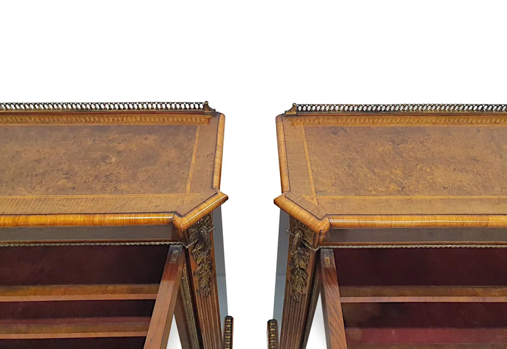An Exceptional Pair of Rare 19th Century Side Cabinets in the Manner of Lamb of Manchester