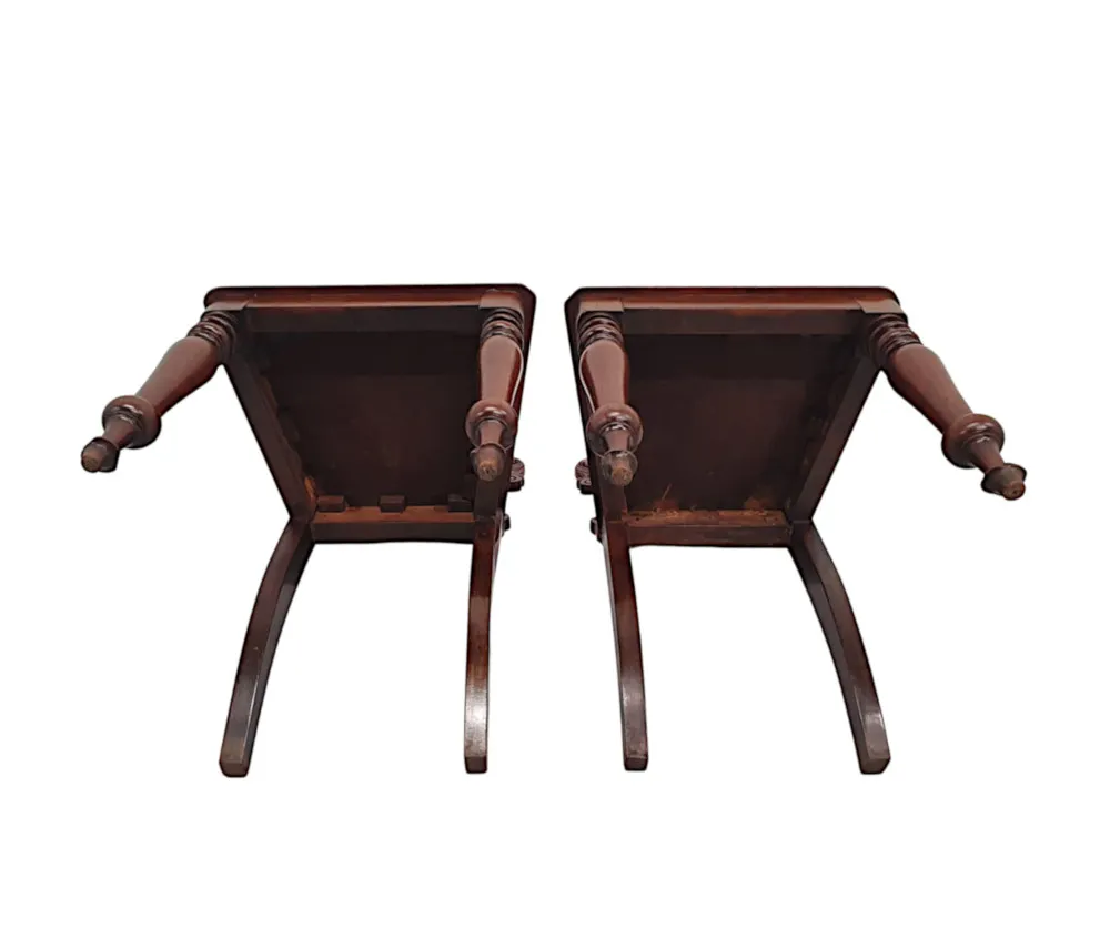 A Very Fine Pair of 19th Century Hall Chairs