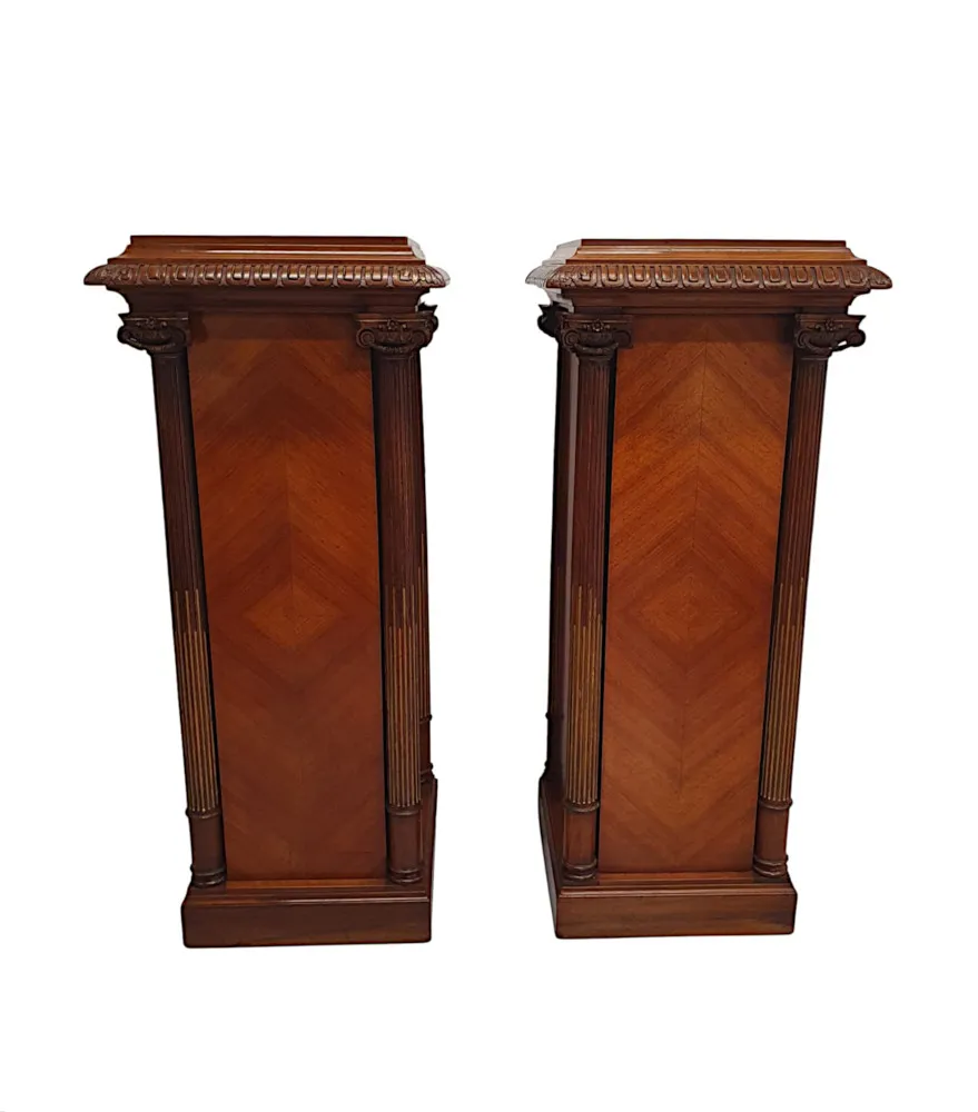  A Very Rare and Fine Pair of 19th Century Bust or Plant Stands 