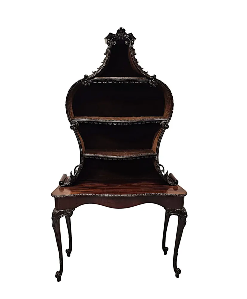 A Very Rare and Fine Unusual 19th Century Pair of Mahogany Bookcases or Display cases