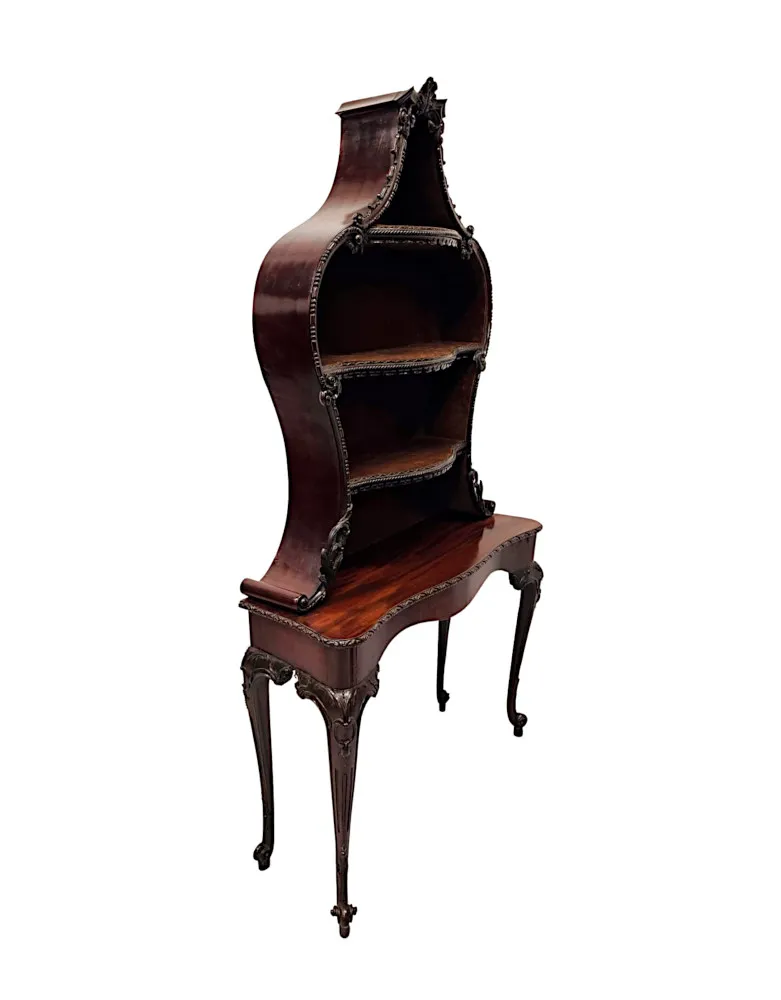 A Very Rare and Fine Unusual 19th Century Pair of Mahogany Bookcases or Display cases
