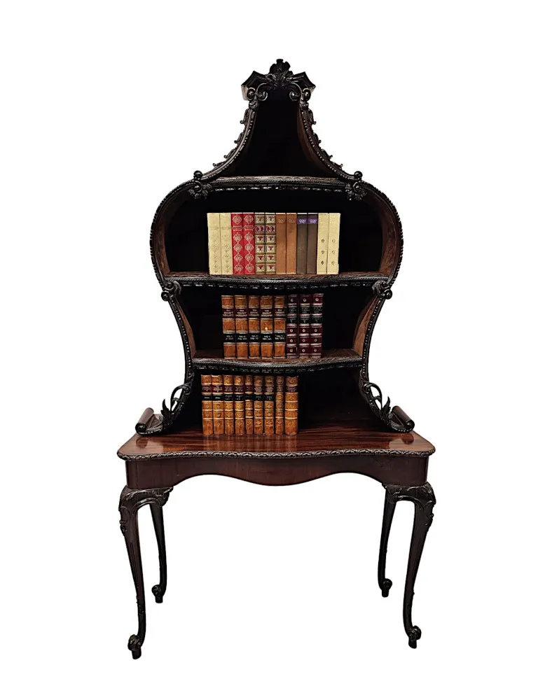 A Very Rare and Fine Unusual 19th Century Pair of Mahogany Bookcases or Display cases