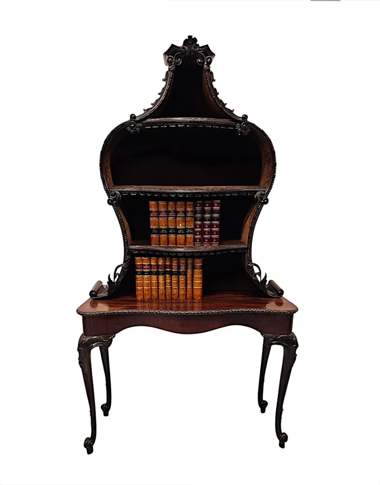 A Very Rare and Fine Unusual 19th Centruy Pair of Mahogany Bookcases or Display cases