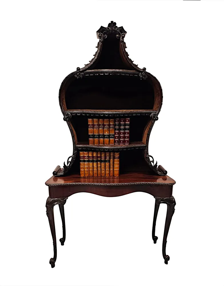 A Very Rare and Fine Unusual 19th Century Pair of Mahogany Bookcases or Display cases