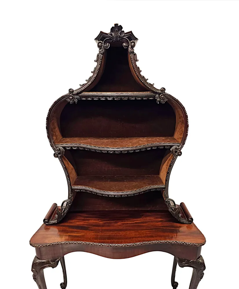 A Very Rare and Fine Unusual 19th Century Pair of Mahogany Bookcases or Display cases