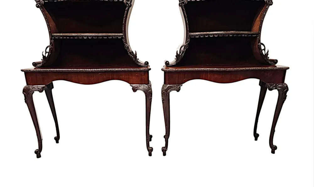 A Very Rare and Fine Unusual 19th Century Pair of Mahogany Bookcases or Display cases