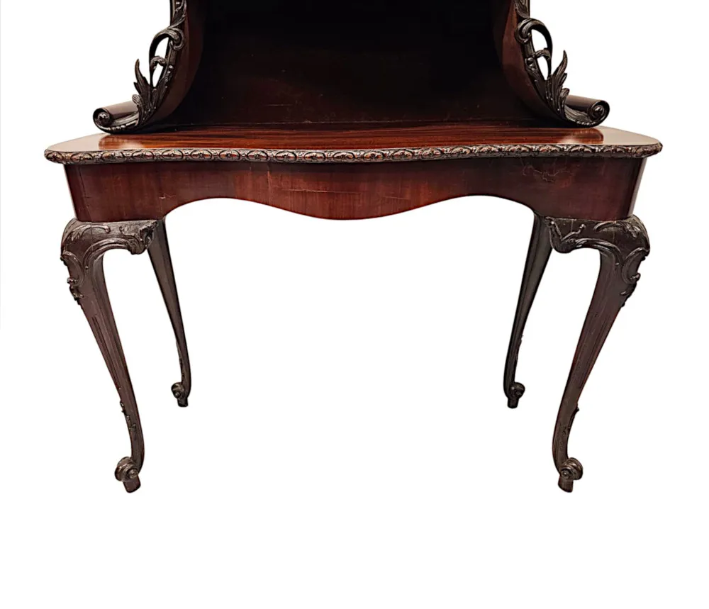 A Very Rare and Fine Unusual 19th Century Pair of Mahogany Bookcases or Display cases