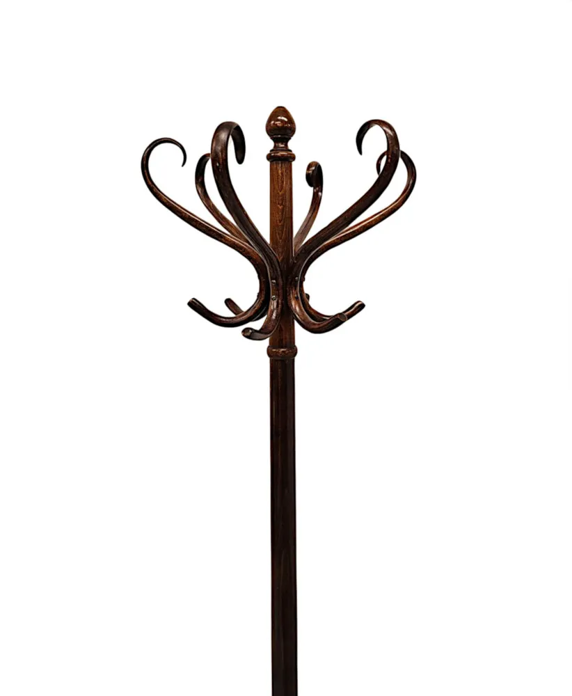  A Very Fine Early 20th Century Bentwood Hat and Coat Stand 