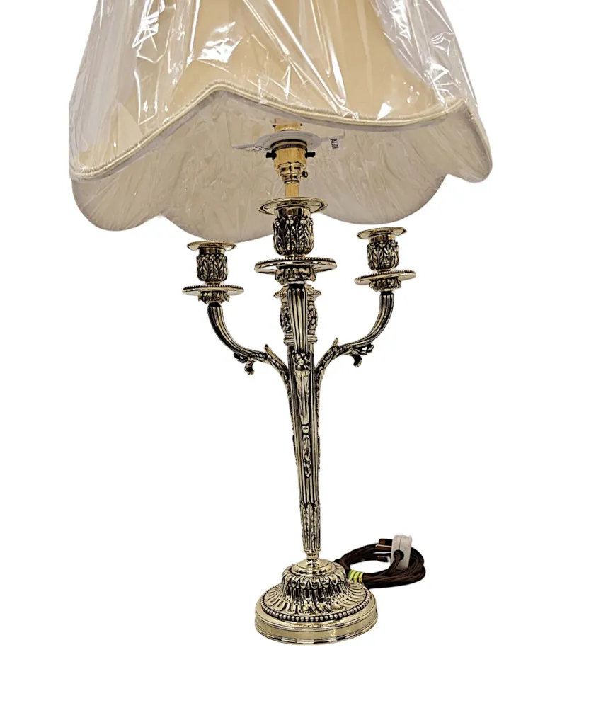A Very Fine Pair of 19th Century Candelabra Converted to Table Lamps