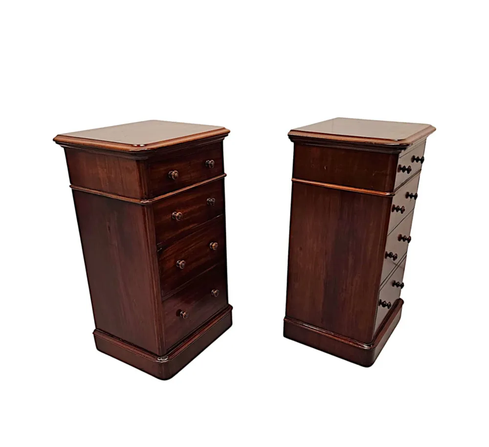 A Fabulous Pair of 19th Century Bedside Chests