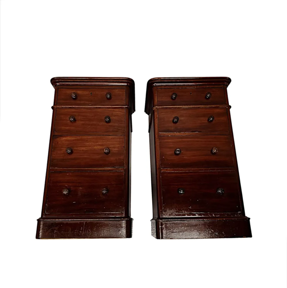 A Fabulous Pair of 19th Century Bedside Chests