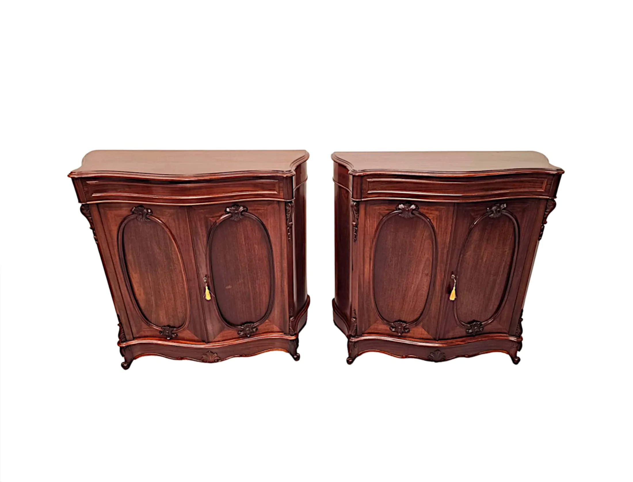 A Stunning Pair of 19th Century Two Door Side Cabinets