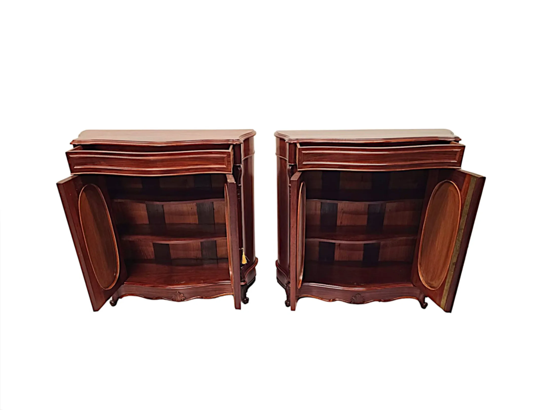 A Stunning Pair of 19th Century Two Door Side Cabinets