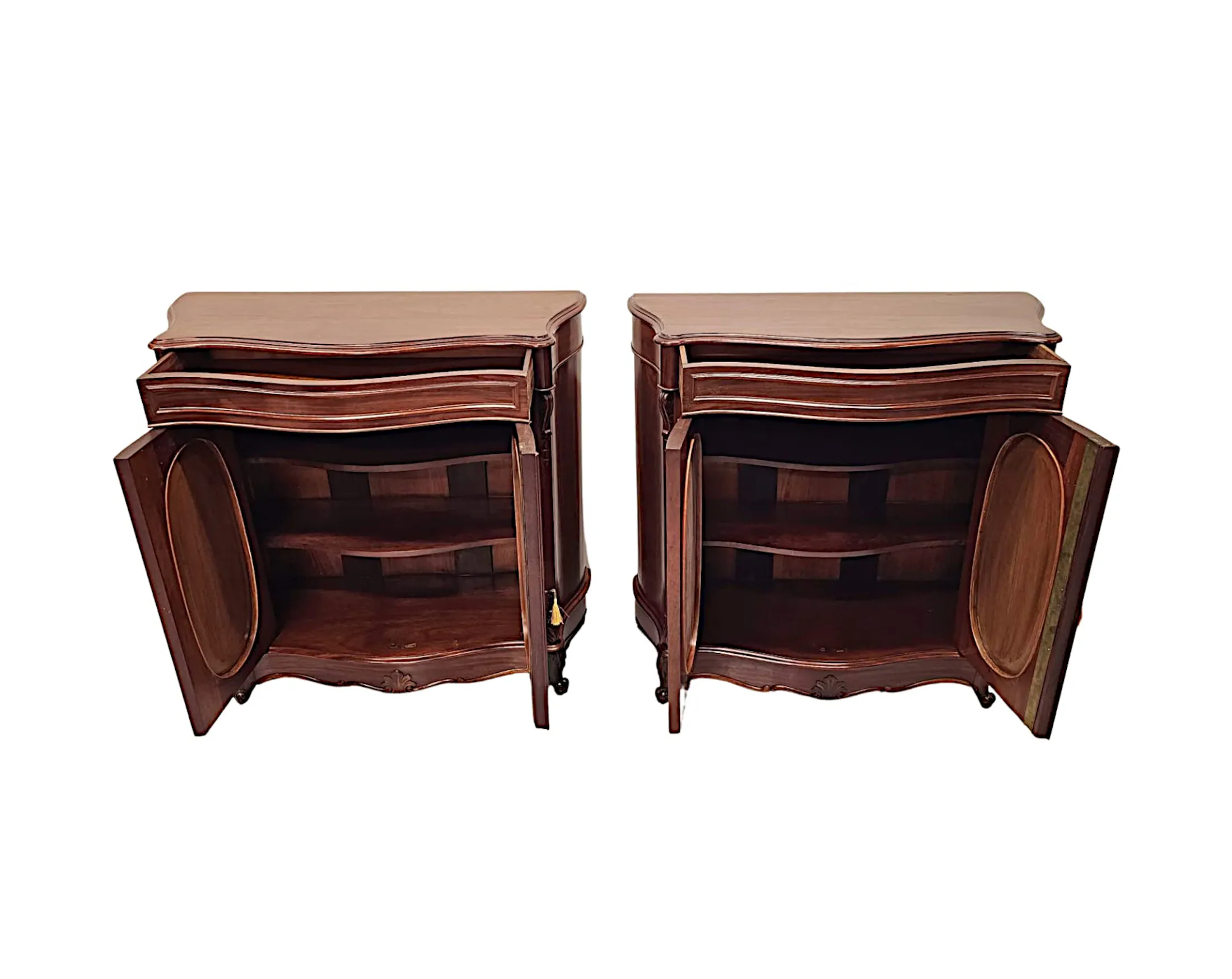 A Stunning Pair of 19th Century Two Door Side Cabinets