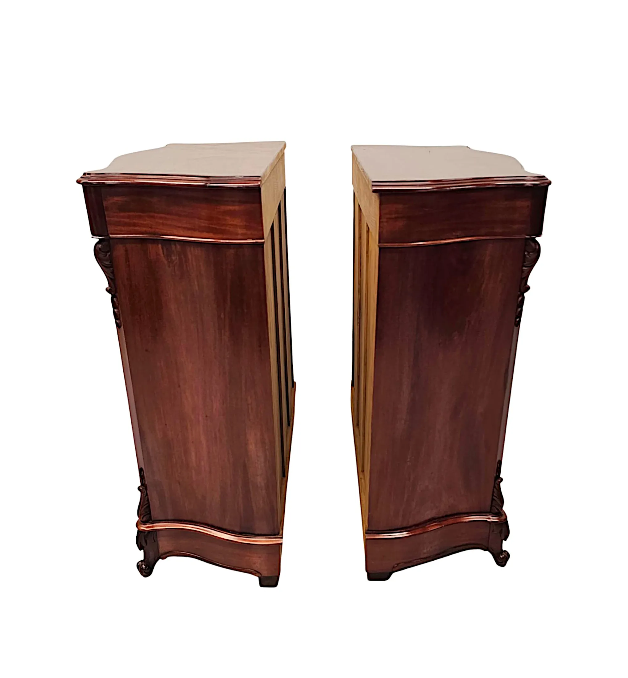 A Stunning Pair of 19th Century Two Door Side Cabinets