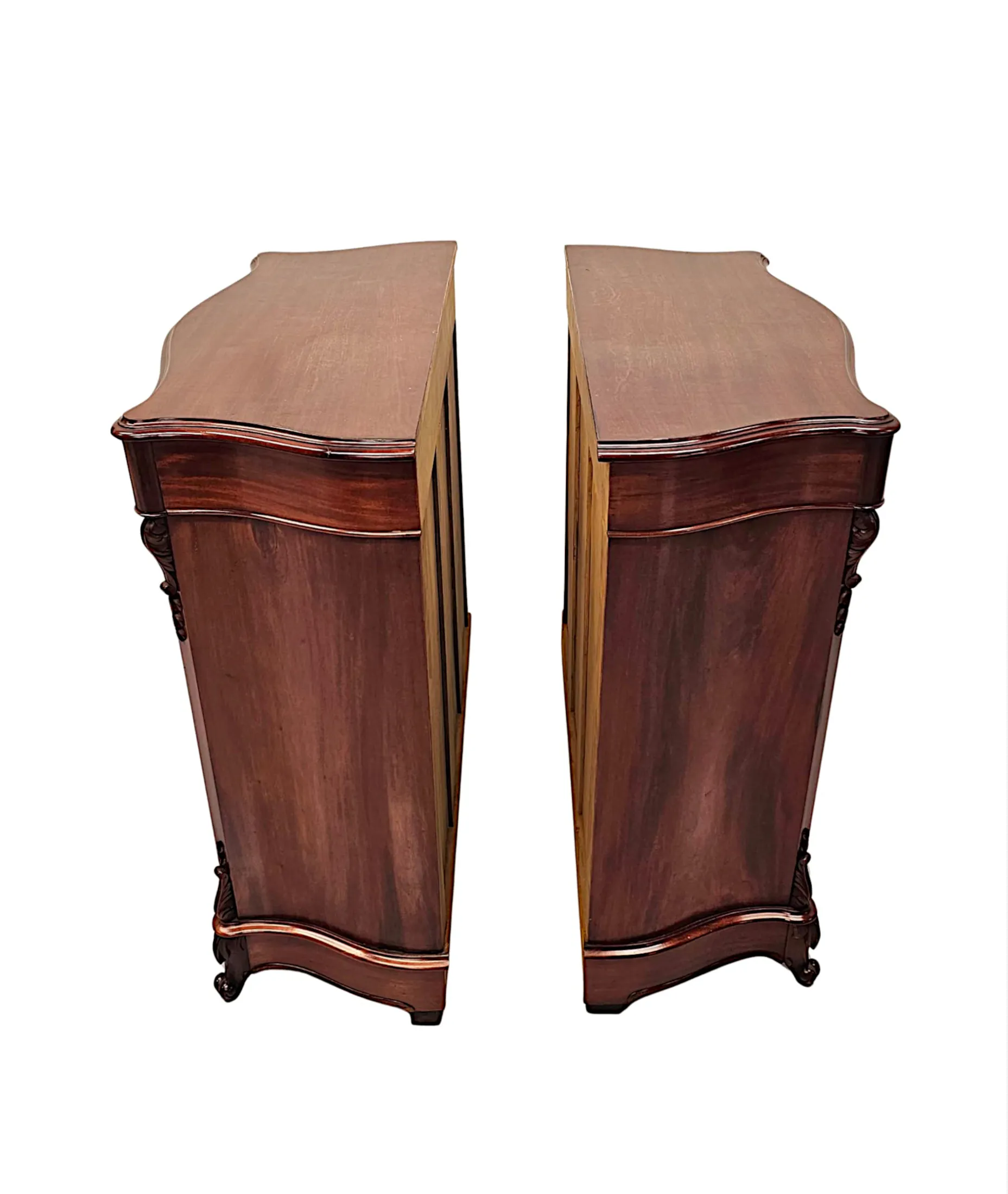 A Stunning Pair of 19th Century Two Door Side Cabinets