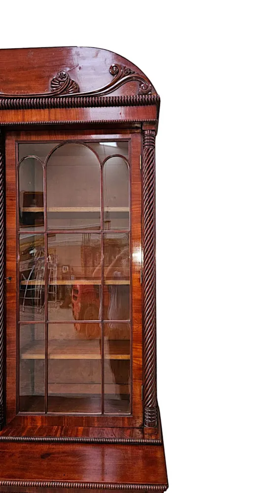 A Very Rare Early 19th Century Irish Flame Mahogany Bookcase