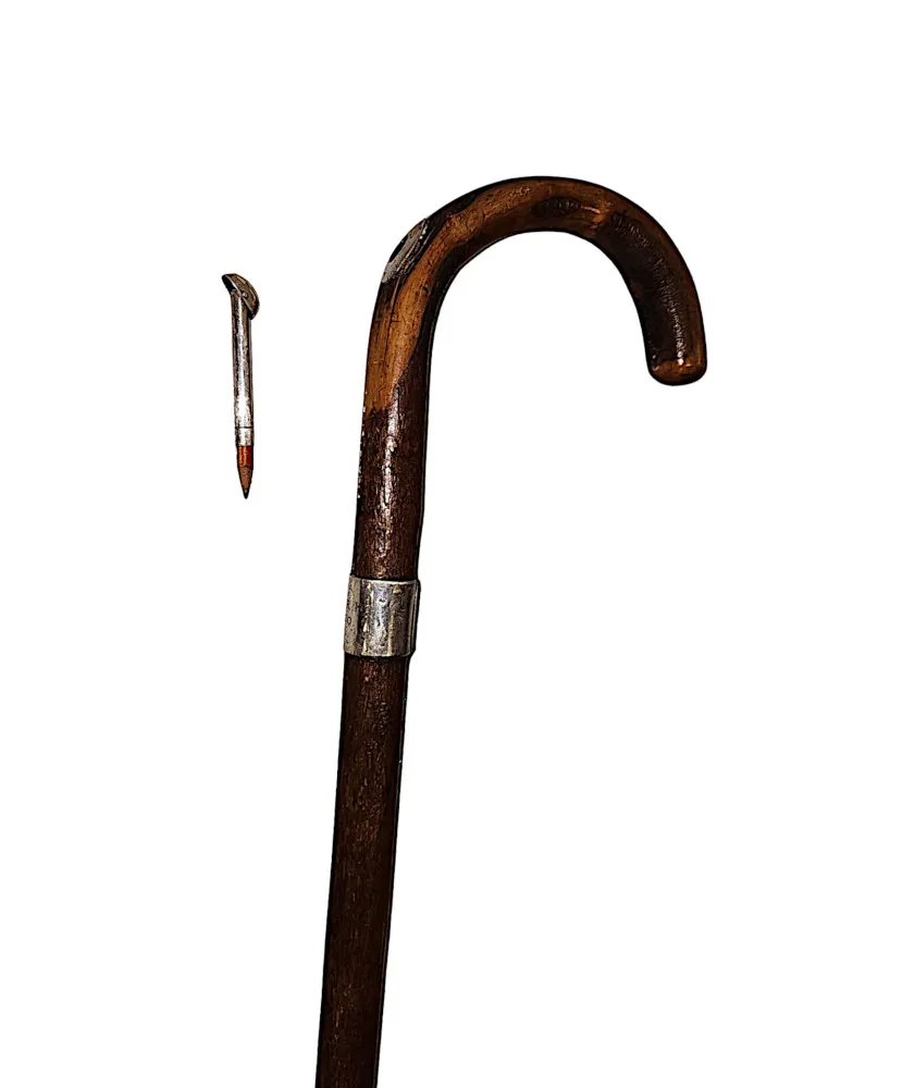 A Fabulous 19th Century Walking Stick with Makers Mark 'Brigg' Stamped on Silver Collar